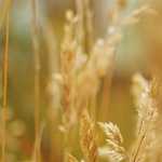 Where Were You When CO2 Hit 400 PPM?