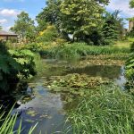 Travelling Internationally with the ZOE – Part 5